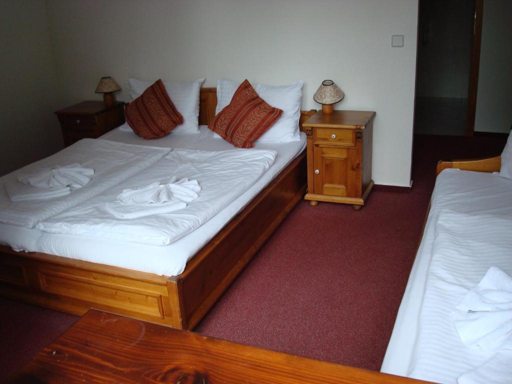 Sport Hotel Pomi Harrachov Room photo